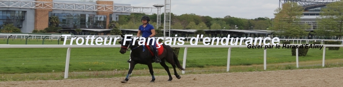 Trotteur Français d'endurance